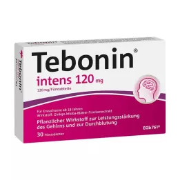TEBONIN intens 120 mg filmomhulde tabletten, 30 stuks