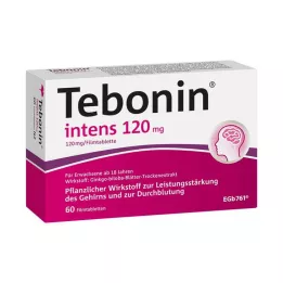 TEBONIN intens 120 mg filmomhulde tabletten, 60 stuks