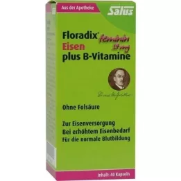 FLORADIX IJzer plus B -vitaminescapsules, 40 st