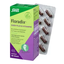 FLORADIX IJzer plus B-vitamines capsules, 40 stuks