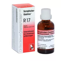 SCROPHULAE-Gasteu R17 Mix, 22 ml