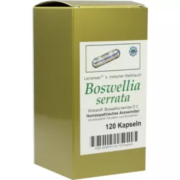 BOSWELLIA SERRATA L.ind.weiHluch Capsules, 120 st