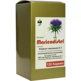 MARIENDISTEL BIOXERA Kapseln, 120 st
