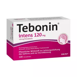 TEBONIN intens 120 mg filmomhulde tabletten, 120 stuks