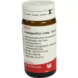 ARNICA E Planta total D 2 Globuli, 20 g
