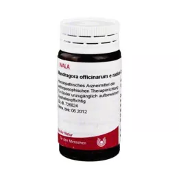 MANDRAGORA OFFICINARIUM en wortel D 4 Globuli, 20 g