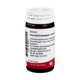 VISCUM CRATAEGUS Globuli, 20 g