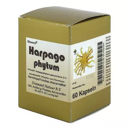 HARPAGOPHYTUM BIOXERA Capsules, 60 st