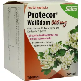 PROTECOR Windhorn 600 mg film -gecoate tabletten, 100 st