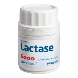 Lactase 6000 FCC capsules, 60 st