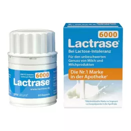 LACTRASE 6.000 FCC capsules, 60 stuks