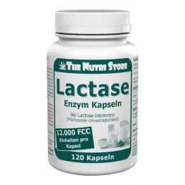 LACTASE 12.000 FCC Enzymcapsules, 120 stuks