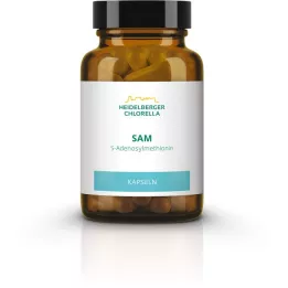 SAM S-ADENOSYLMETHIONIN capsules, 60 stuks