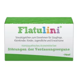 FLATULINI Bolletjes, 2 g