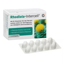 RHODIOLA-INTERCELL capsules, 60 stuks