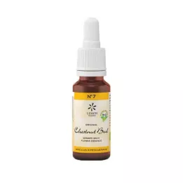Bachbloesem nr. 7 Chestnut Bud Bio, 20 ml