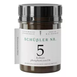 SCHÜSSLER Nr. 5 Kalium phosphoricum D 6 tabletten, 400 stuks