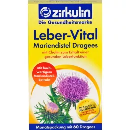 ZIRKULIN Leber-Vital Mariadistel Tabletten, 60 stuks