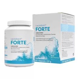 LACTOBACT Forte maagsapresistente capsules, 120 stuks