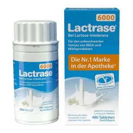 LACTRASE 6.000 FCC Tbl.Click dispenser navulverpakking, 480 stuks