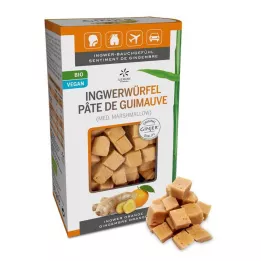 INGWER GINJER Oranje gemberblokjes, 60 g