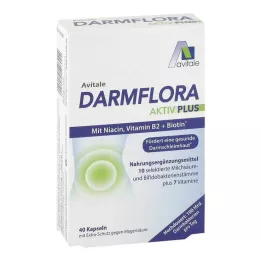 DARMFLORA Aktiv Plus 100 miljard bacteriën + 7 vitaminen, 40 stuks