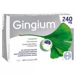 GINGIUM 240 mg filmomhulde tabletten, 120 stuks