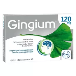 GINGIUM 120 mg filmomhulde tabletten, 30 stuks