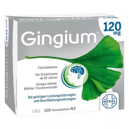 GINGIUM 120 mg filmomhulde tabletten, 120 stuks