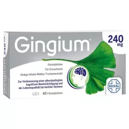 GINGIUM 240 mg filmomhulde tabletten, 40 stuks