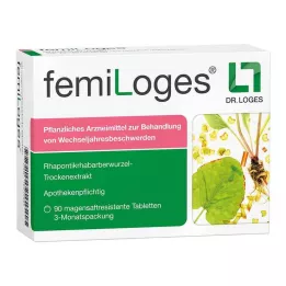 FEMILOGES maagsapresistente tabletten, 90 stuks