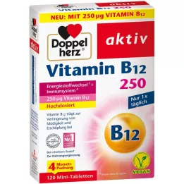 Doppelherz Actieve vitamine B12 250 μg, 120 st