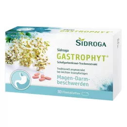 SIDROGA GastroPhyt 250 mg filmomhulde tabletten, 30 stuks