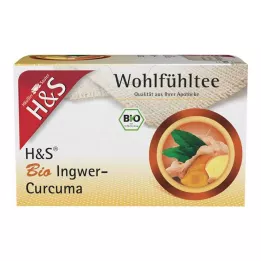 H&S Biologische Gember-Kurkuma Filterzakjes, 20X1.25 g
