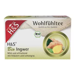 H&S Biologische Gemberfilterzakjes, 20X2 g