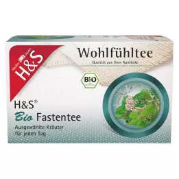 H&S Biologische vastentheefilterzakjes, 20X1.5 g