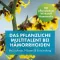 FAKTU Linde aambeienzalf, 25 g