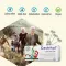 Gastritol® zuigtabletten, 10 st