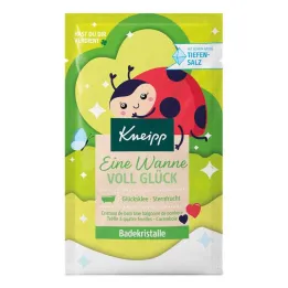 Kneipp-badkristallen Een badkuip vol geluk, 60 gram