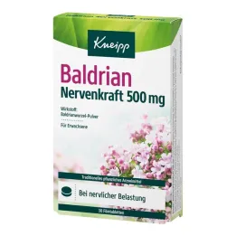 Kneipp Valerian Nerve Power 500 mg filmomhulde tabletten, 30 stuks