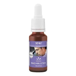 Bachbloesems nr. 41 druppels, 20 ml